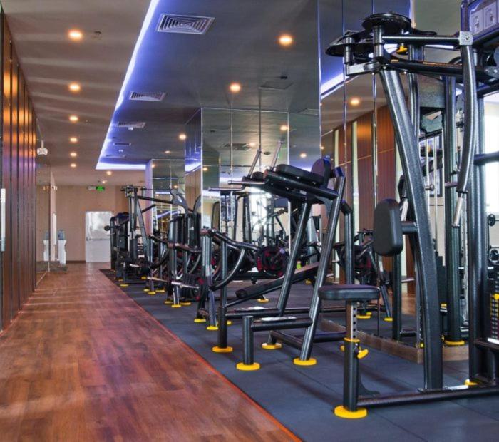 Căn hộ Modern 2br At Terra Royal By Orli F21 TP. Hồ Chí Minh